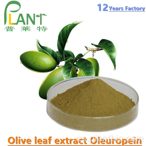 HPLC extracto de hojas de olivo oleuropeína en polvo